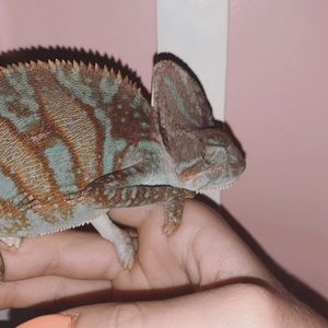 Meet your Posher, Hailey